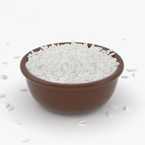 rice grain food 3D
