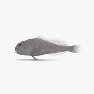 blobfish pbr 3D model