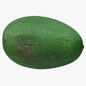 realistic avocado 3D model
