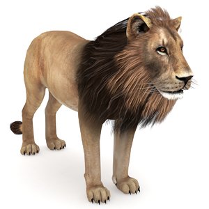 lion 3D model