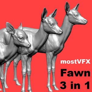 fawn deer model