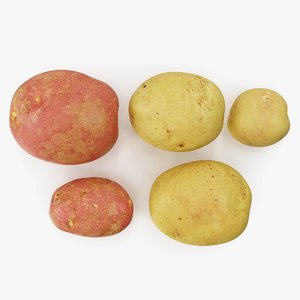 3D potatoes 01-05