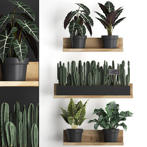 3D plants wall decor vertical model