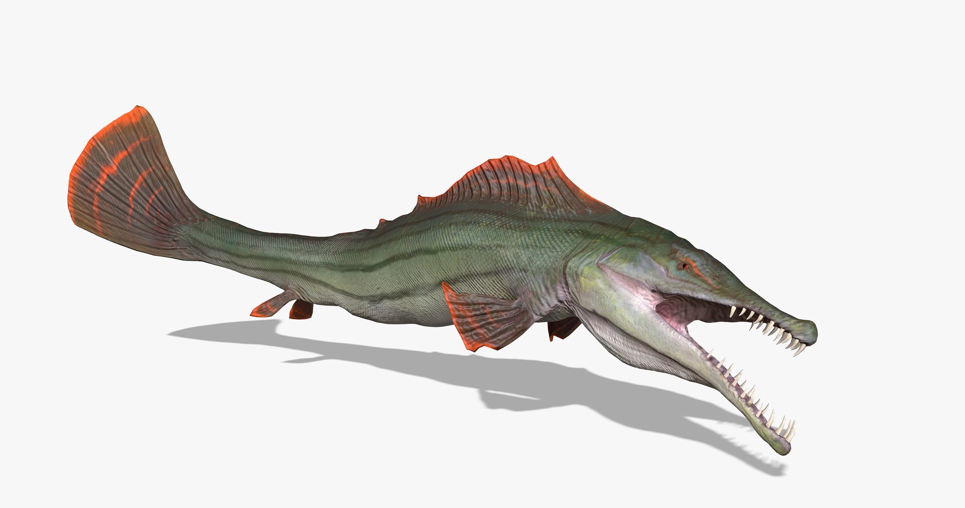 3D goliath tiger fish animal - TurboSquid 1465799