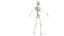 3D body anatomy 01