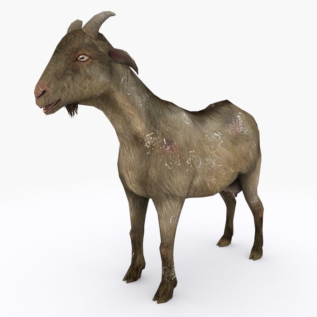 3D Model Goat Type 01 - TurboSquid 1469912