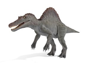 3D spinosaurus blender v-multi model
