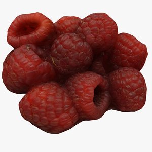 scan raspberries model
