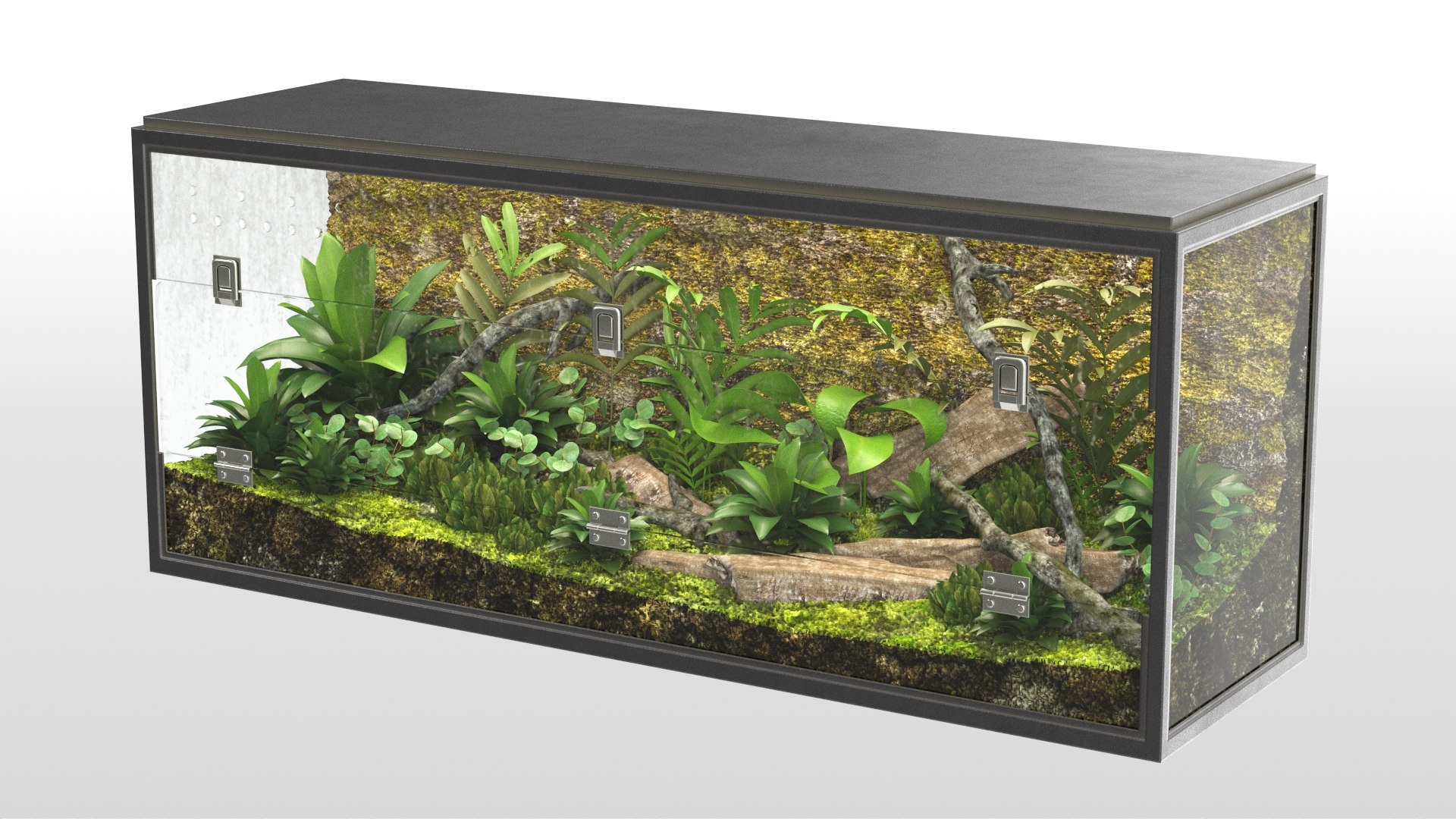 3D realistic terrarium - TurboSquid 1470995