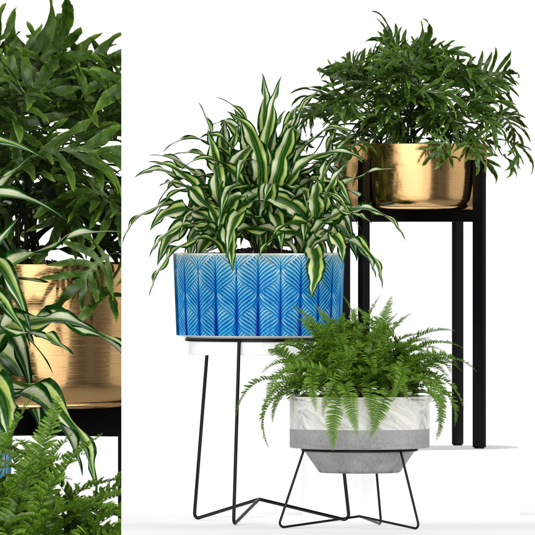 3D plants 191 - TurboSquid 1470765