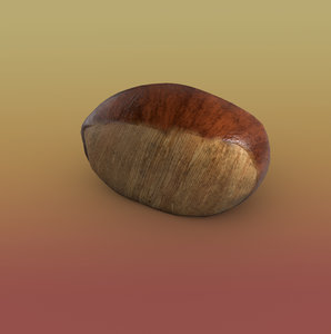 chestnut nut 3D model