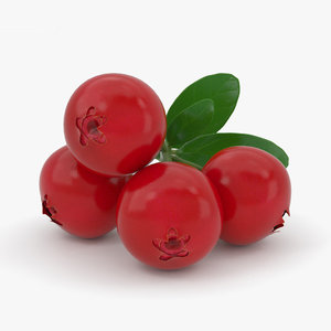 3D cowberry berry model