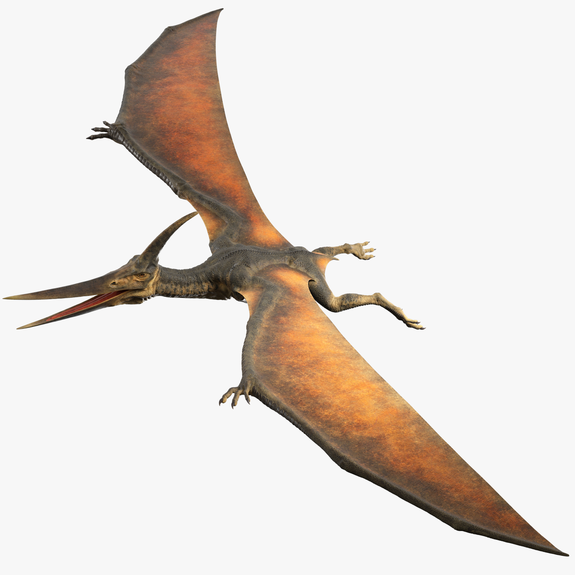 pterodáctilo e pteranodon