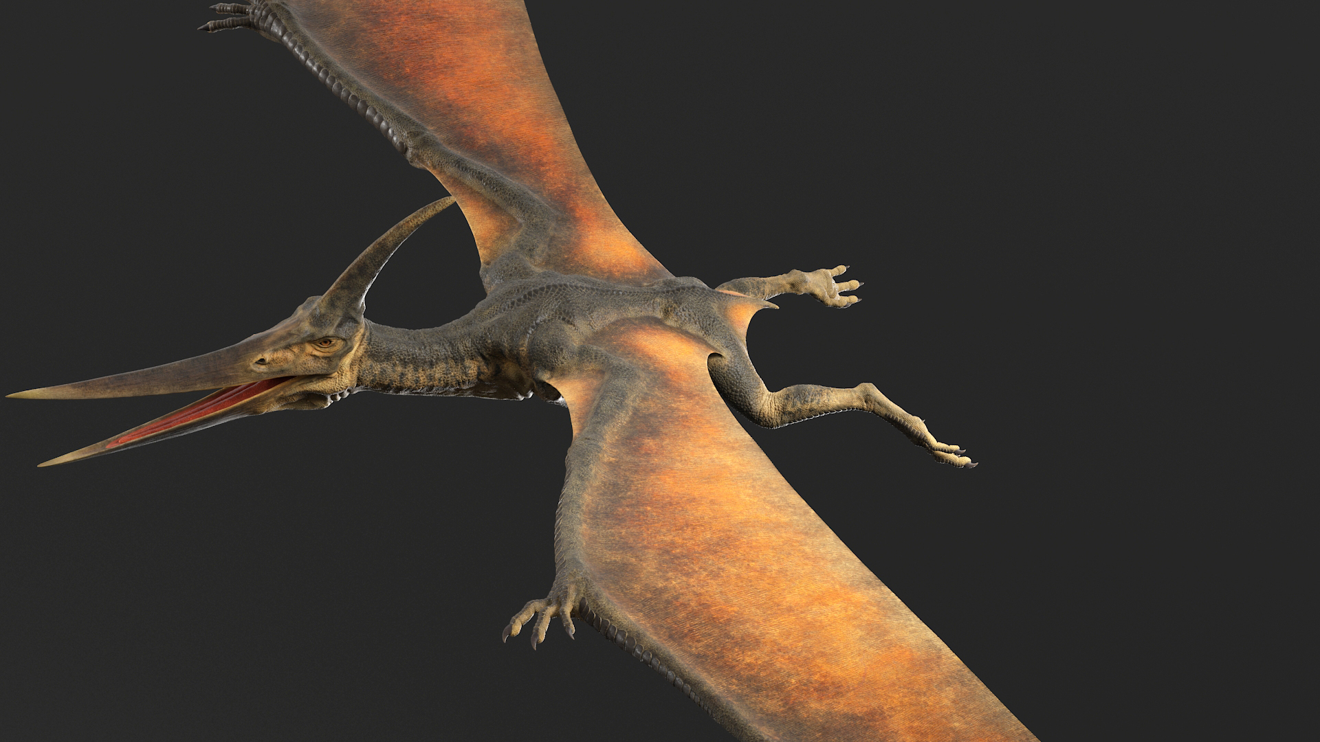 pterodáctilo e pteranodon