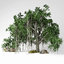 3D banyan tree