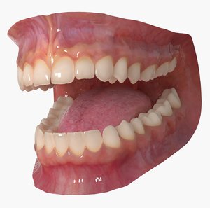 3D mouth gums cheeks