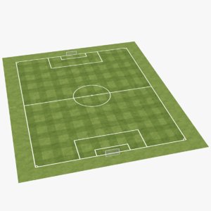 3D real soccer field pitch