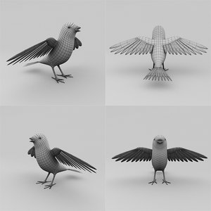 3D bird