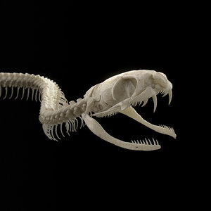 3D snake skeleton rig
