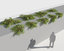 3D phyllanthus plants model