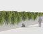 3D phyllanthus plants model