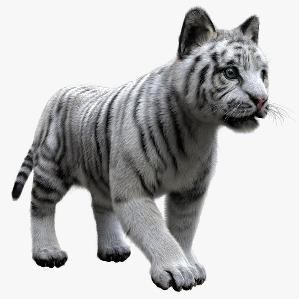3D tiger fur baby