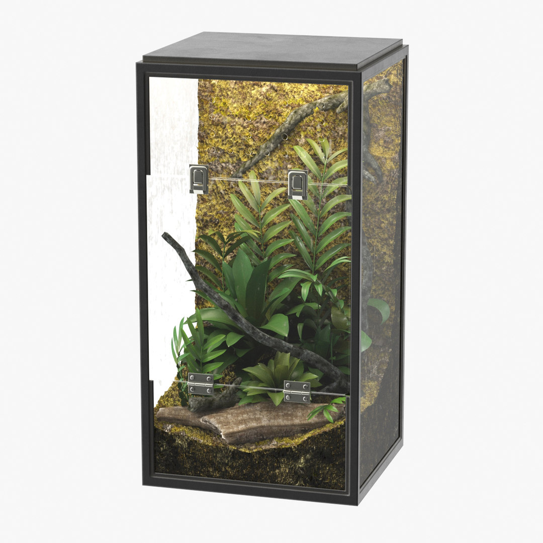 Realistic terrarium 2 3D model TurboSquid 1473511