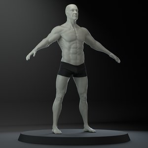 male body 3D model