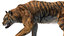 tiger anatomy 3D model
