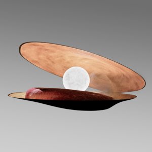 3D clam model