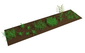 grass 3D model