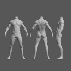 3D model male body