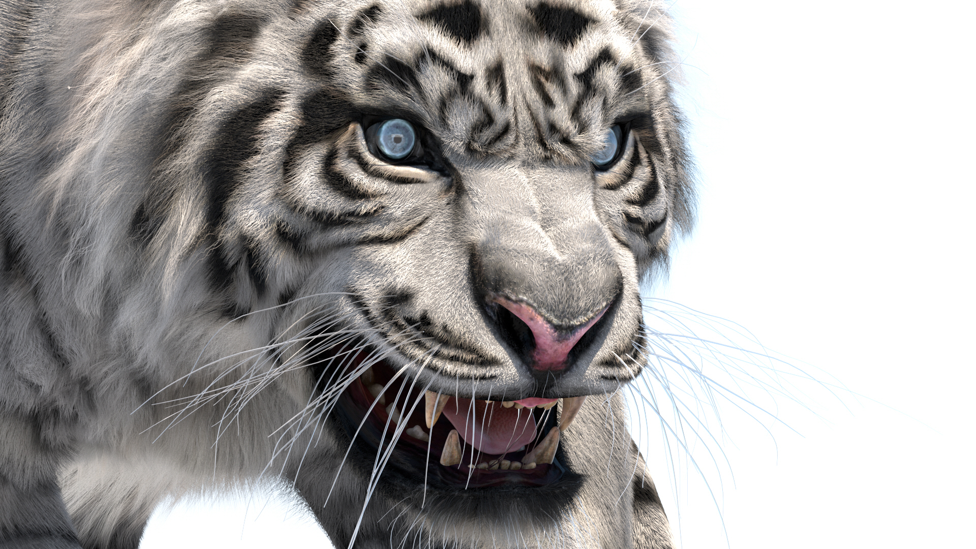 老虎收藏3d模型