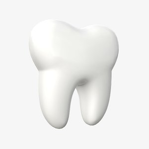 cartoon tooth model