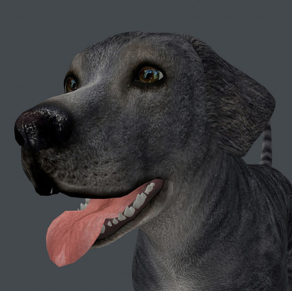 Dog 3d animation