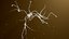3D neurons doctor model