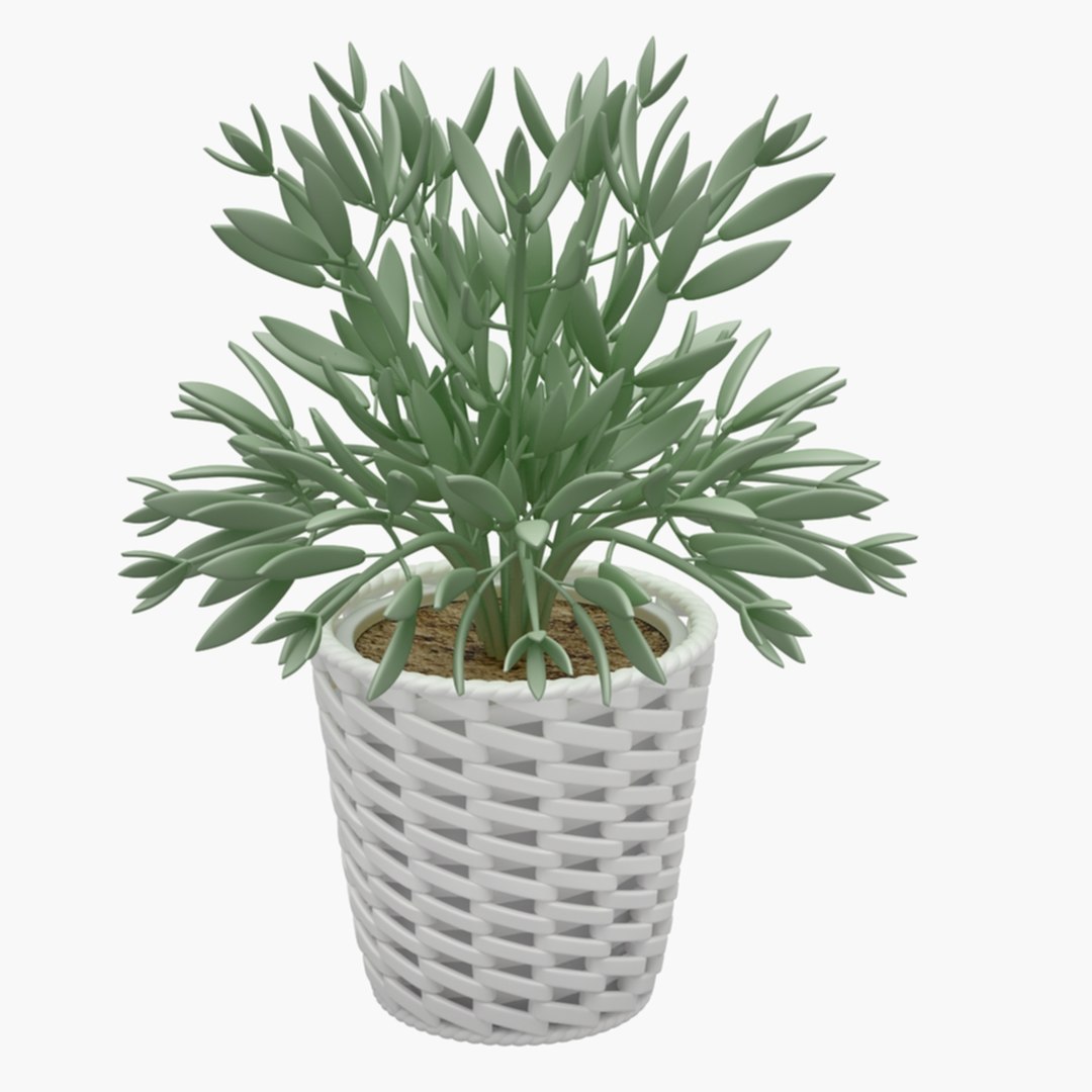 Plant 3D model TurboSquid 1475227