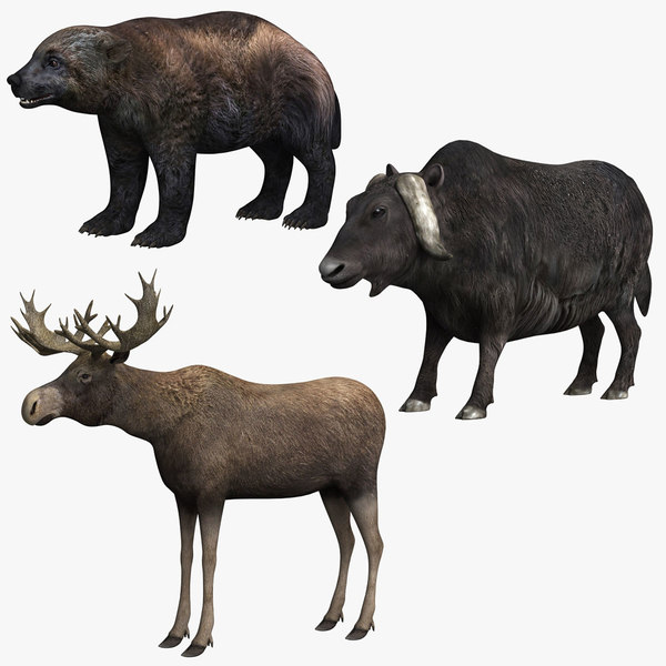 wolverine yak