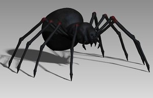 black spider 3D model