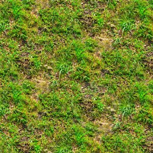 Grass and weeds 01