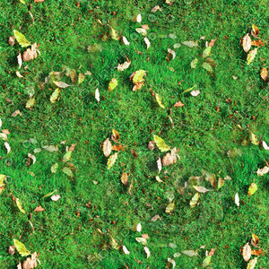 Grass with autumn leaves 28