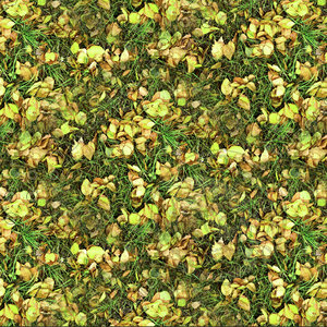 Grass with autumn leaves 25
