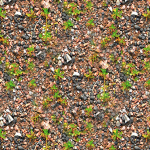 Gravel and weeds 02
