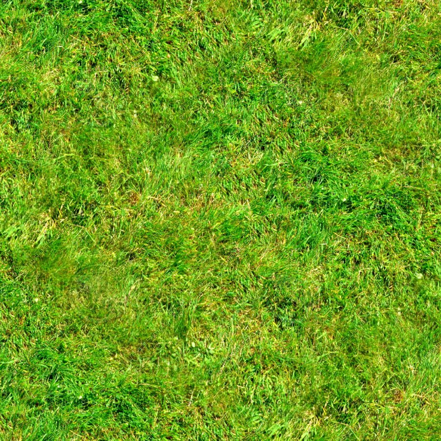 Texture Jpeg Grass Weed Ground