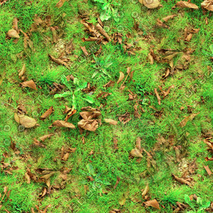 Grass with autumn leaves 29