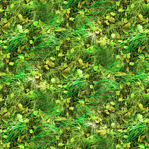Grass with autumn leaves 17
