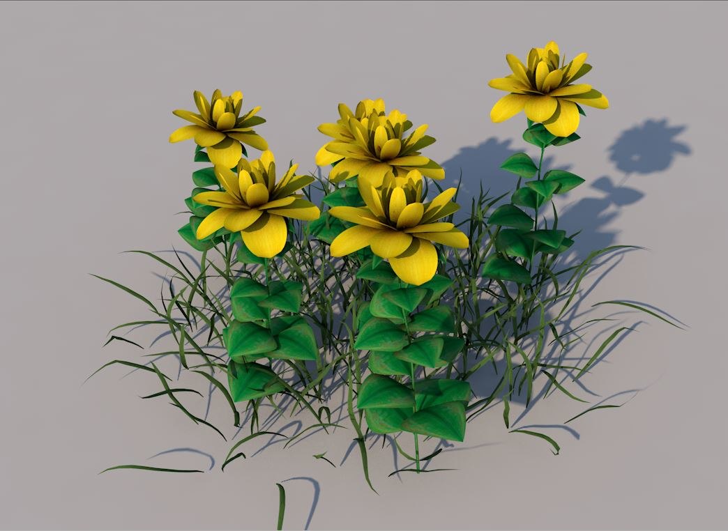 3D flower wide leaf - TurboSquid 1475946