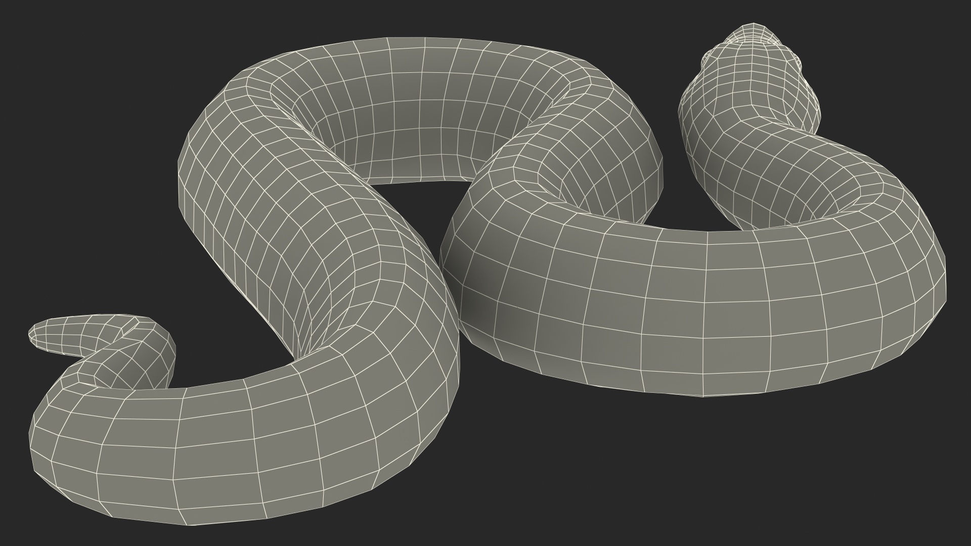 米色hognose蛇攻击姿势3d模型