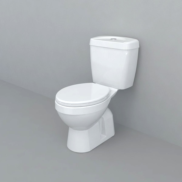 Wreedheid mooi Beschietingen Toilet wc 3D - TurboSquid 1476137