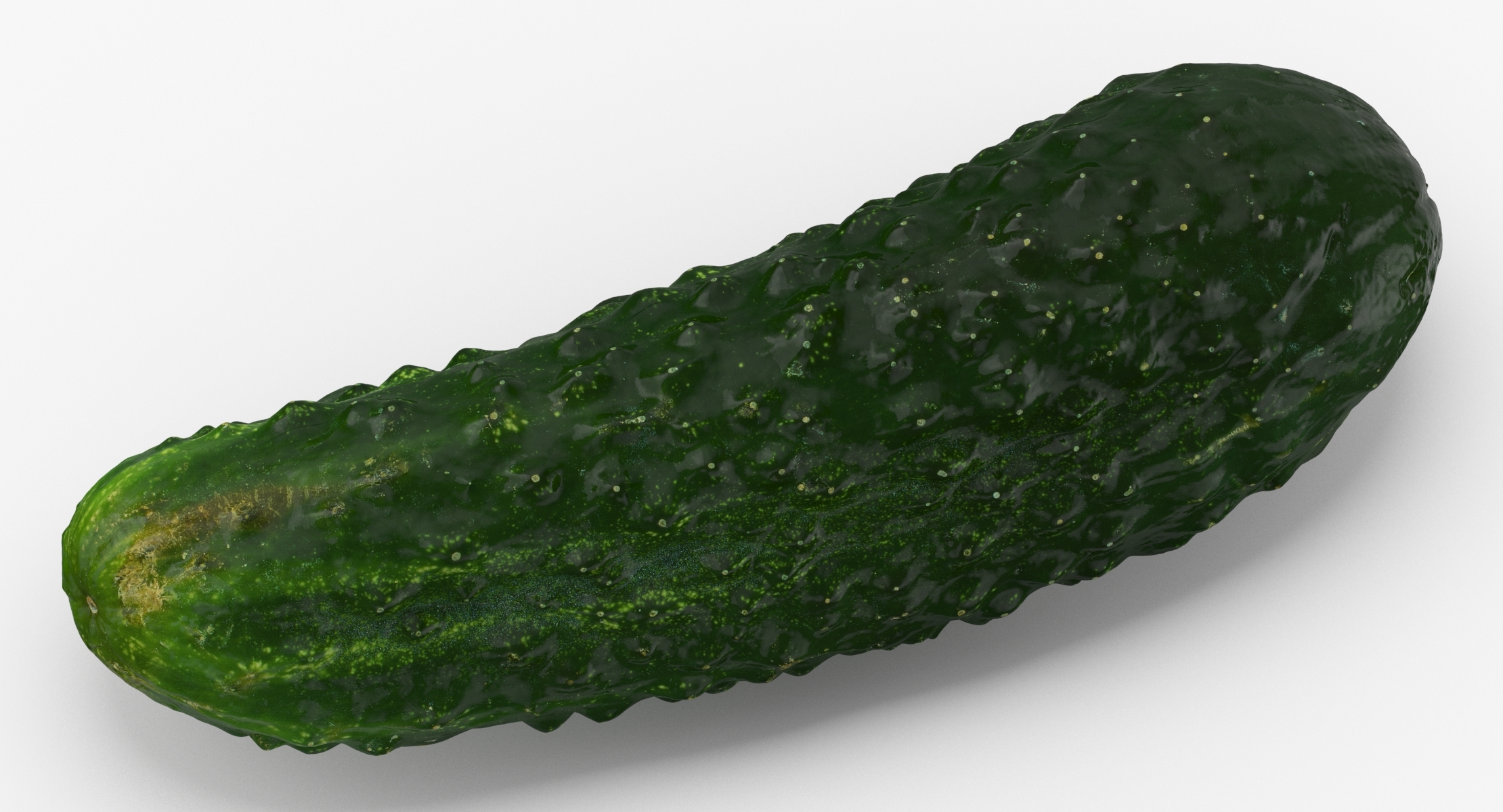 3D kirby cucumber 04 TurboSquid 1469079